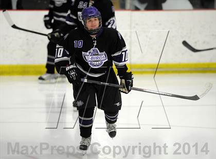 Thumbnail 2 in North Branford @ North Haven photogallery.