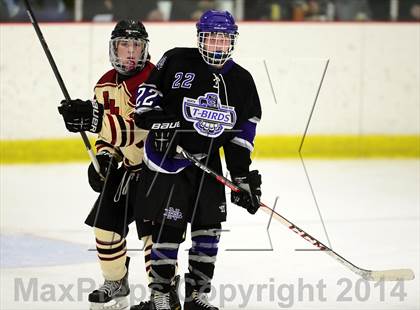 Thumbnail 1 in North Branford @ North Haven photogallery.