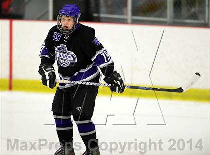 Thumbnail 1 in North Branford @ North Haven photogallery.