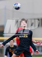 Photo from the gallery "Camas @ Issaquah"