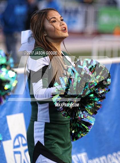 Thumbnail 1 in Greeneville vs. Springfield (TSSAA Division I Class 4A Final) photogallery.