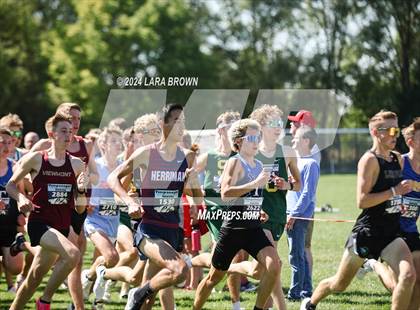 Thumbnail 1 in Timpanogos XC Invitational (Morning) photogallery.