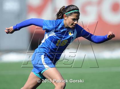 Thumbnail 1 in Joliet vs Thornton Fractional North/South (Windy City Ram Classic) photogallery.