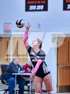 Photo from the gallery "Mariner @ Braden River"