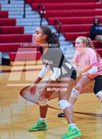 Photo from the gallery "Mariner @ Braden River"