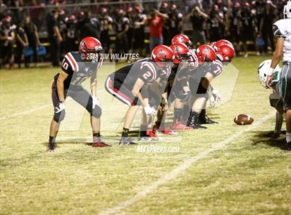 Thumbnail 3 in Miami @ Chandler Prep photogallery.
