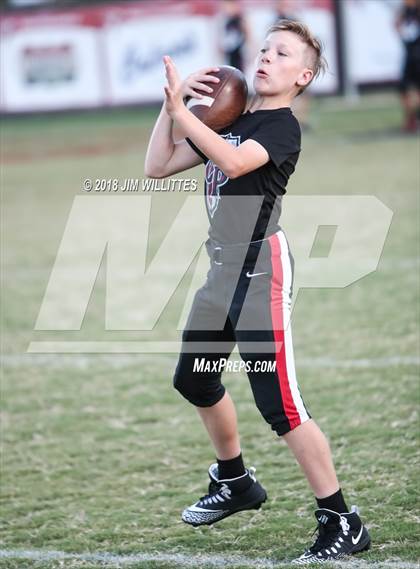 Thumbnail 3 in Miami @ Chandler Prep photogallery.
