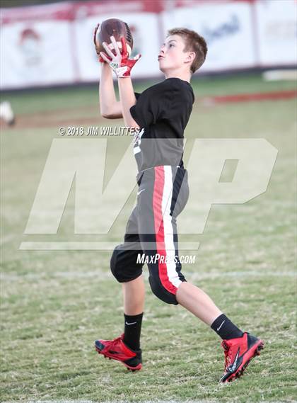Thumbnail 3 in Miami @ Chandler Prep photogallery.