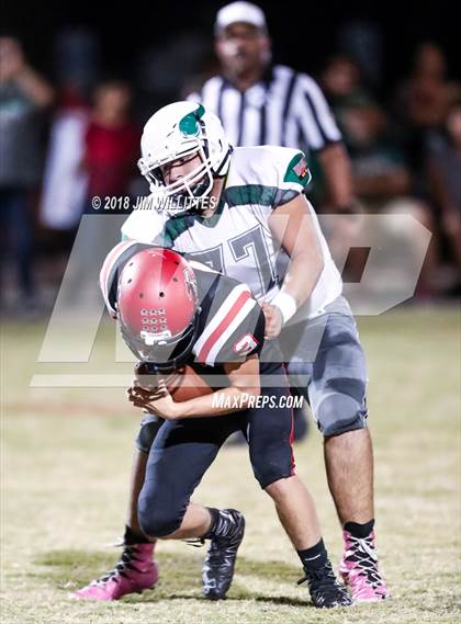Thumbnail 3 in Miami @ Chandler Prep photogallery.