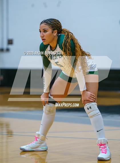 Thumbnail 2 in Prosper @ Plano East photogallery.