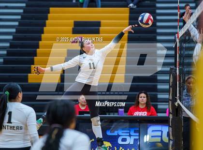 Thumbnail 3 in Prosper @ Plano East photogallery.