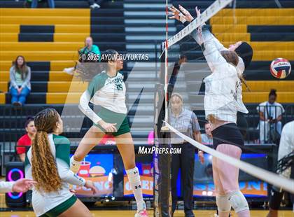 Thumbnail 3 in Prosper @ Plano East photogallery.