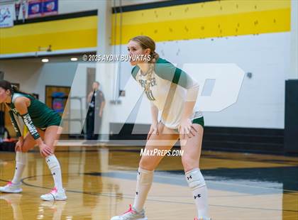 Thumbnail 3 in Prosper @ Plano East photogallery.