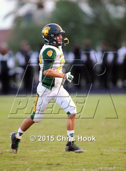 Thumbnail 3 in Canyon del Oro @ Sahuaro photogallery.