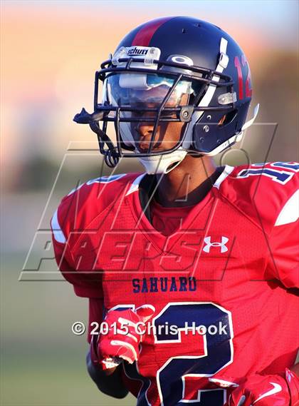 Thumbnail 2 in Canyon del Oro @ Sahuaro photogallery.