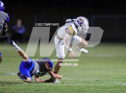 Thumbnail 2 in Brock @ Peaster photogallery.