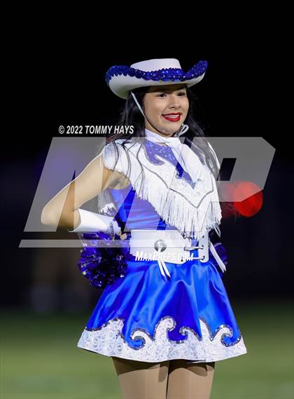 Thumbnail 2 in Brock @ Peaster photogallery.