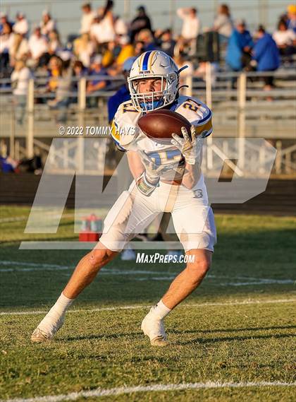 Thumbnail 1 in Brock @ Peaster photogallery.