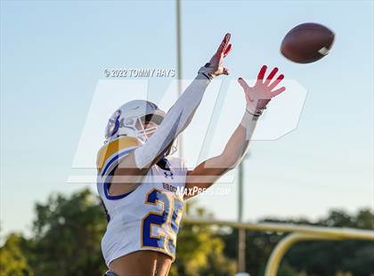 Thumbnail 2 in Brock @ Peaster photogallery.