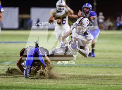 Thumbnail 2 in Brock @ Peaster photogallery.