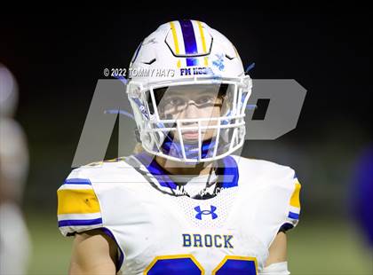 Thumbnail 3 in Brock @ Peaster photogallery.