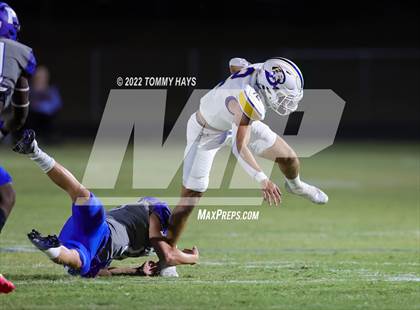 Thumbnail 3 in Brock @ Peaster photogallery.