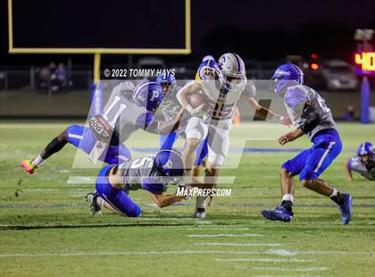 Thumbnail 3 in Brock @ Peaster photogallery.