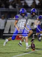 Photo from the gallery "Brock @ Peaster"