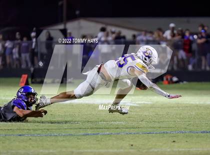 Thumbnail 2 in Brock @ Peaster photogallery.