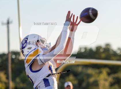 Thumbnail 1 in Brock @ Peaster photogallery.