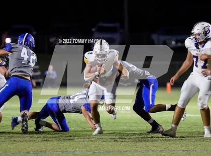 Thumbnail 3 in Brock @ Peaster photogallery.