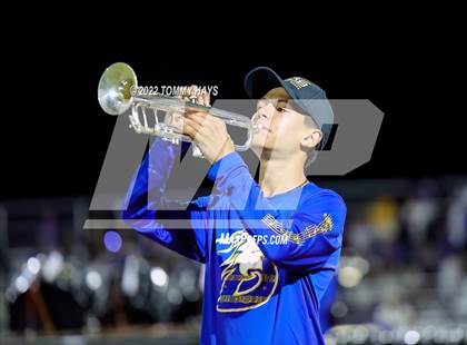 Thumbnail 1 in Brock @ Peaster photogallery.