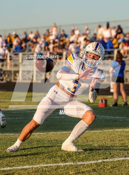 Thumbnail 1 in Brock @ Peaster photogallery.