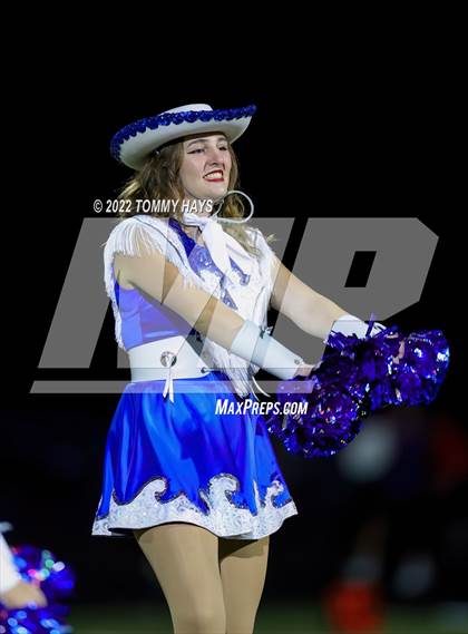 Thumbnail 1 in Brock @ Peaster photogallery.