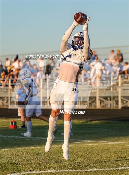 Thumbnail 1 in Brock @ Peaster photogallery.