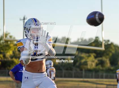 Thumbnail 3 in Brock @ Peaster photogallery.