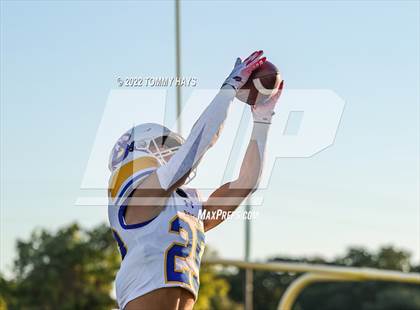 Thumbnail 3 in Brock @ Peaster photogallery.