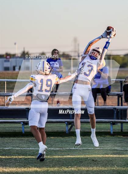 Thumbnail 1 in Brock @ Peaster photogallery.