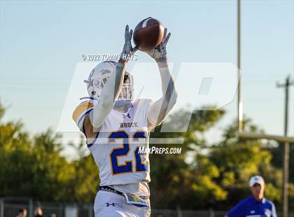 Thumbnail 1 in Brock @ Peaster photogallery.