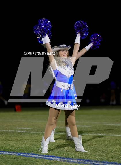 Thumbnail 1 in Brock @ Peaster photogallery.