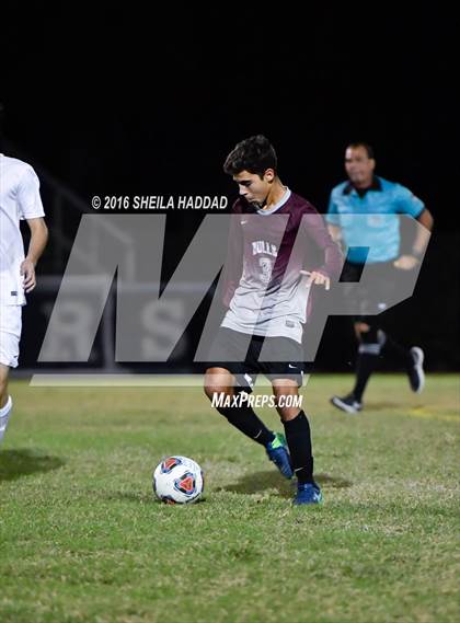 Thumbnail 3 in Wiregrass Ranch @ Berkeley Prep photogallery.