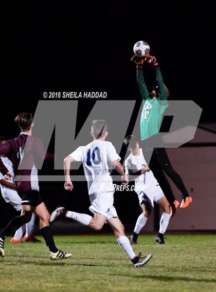 Thumbnail 3 in Wiregrass Ranch @ Berkeley Prep photogallery.
