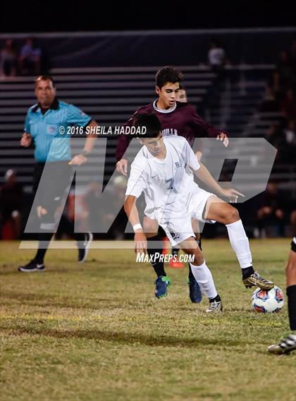 Thumbnail 3 in Wiregrass Ranch @ Berkeley Prep photogallery.