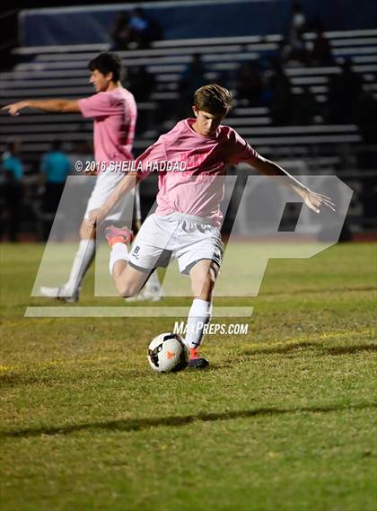 Thumbnail 3 in Wiregrass Ranch @ Berkeley Prep photogallery.