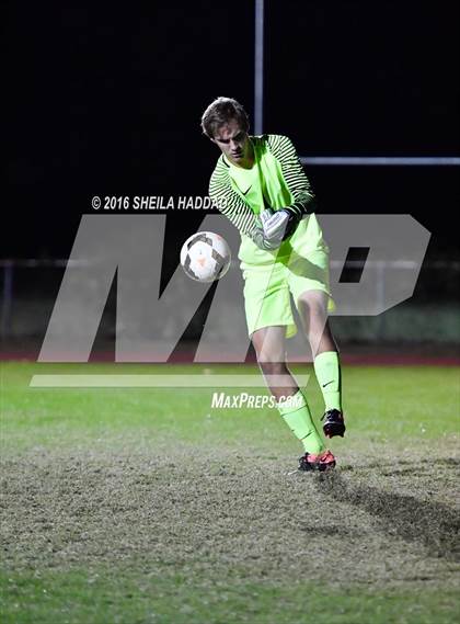 Thumbnail 2 in Wiregrass Ranch @ Berkeley Prep photogallery.
