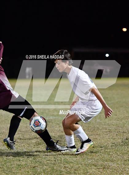 Thumbnail 2 in Wiregrass Ranch @ Berkeley Prep photogallery.