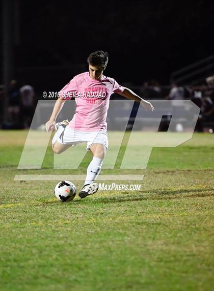 Thumbnail 1 in Wiregrass Ranch @ Berkeley Prep photogallery.