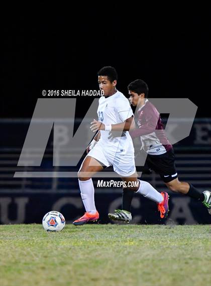 Thumbnail 3 in Wiregrass Ranch @ Berkeley Prep photogallery.