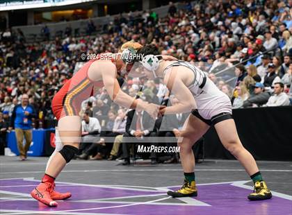 Thumbnail 1 in CHSAA State Championship - 4A Finals photogallery.