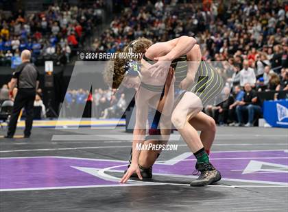 Thumbnail 1 in CHSAA State Championship - 4A Finals photogallery.
